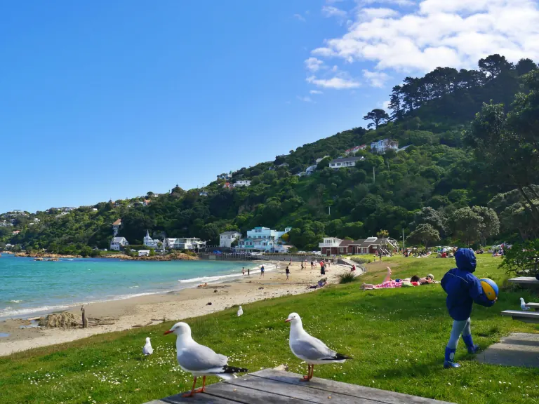 Families enjoying a sunny beach beside a green hillside in New Zealand